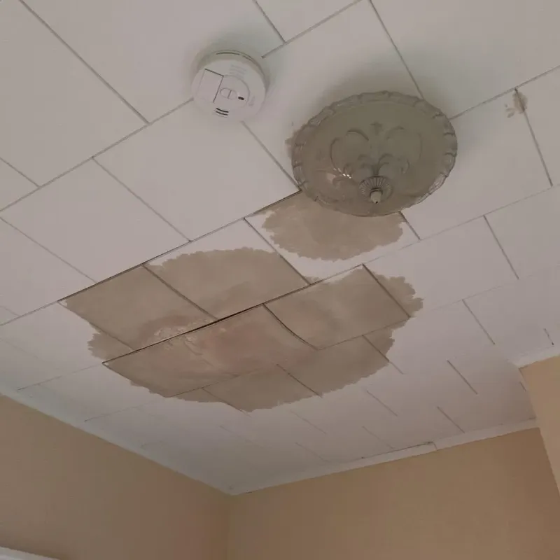 Ceiling Water Damage Repair in Nortonville, KY