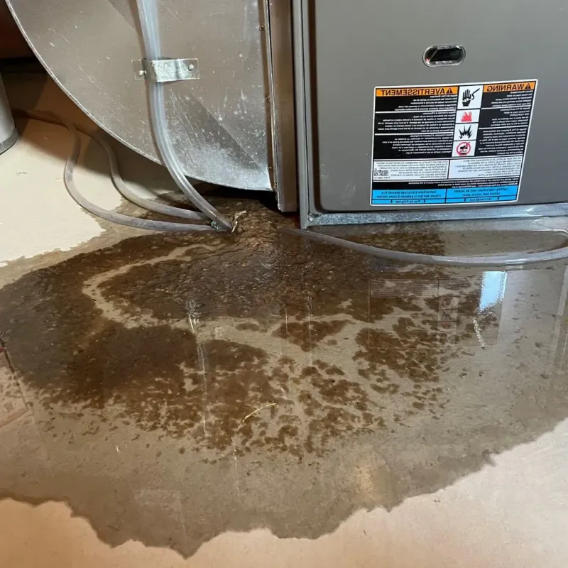 Pipe Burst and Leak Restoration in Nortonville, KY