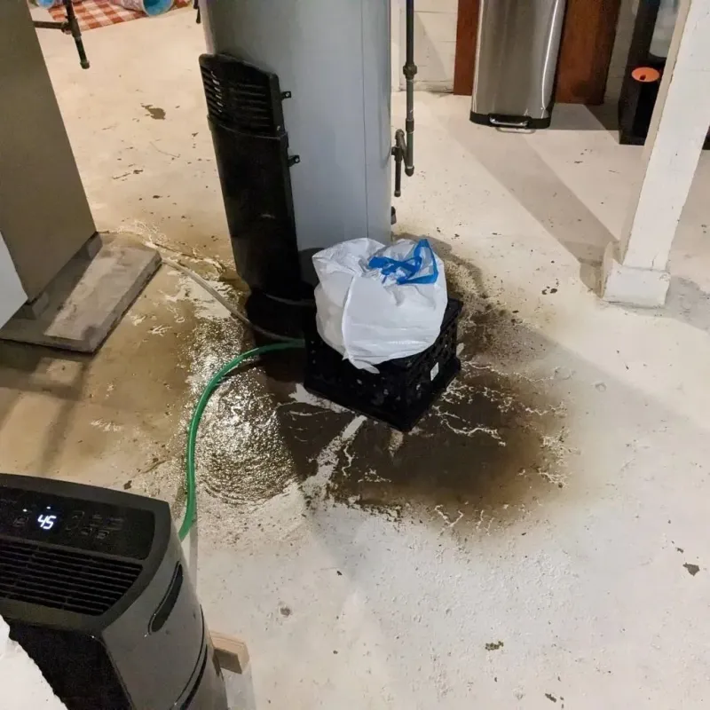 Sewage Backup Cleanup Service in Nortonville, KY